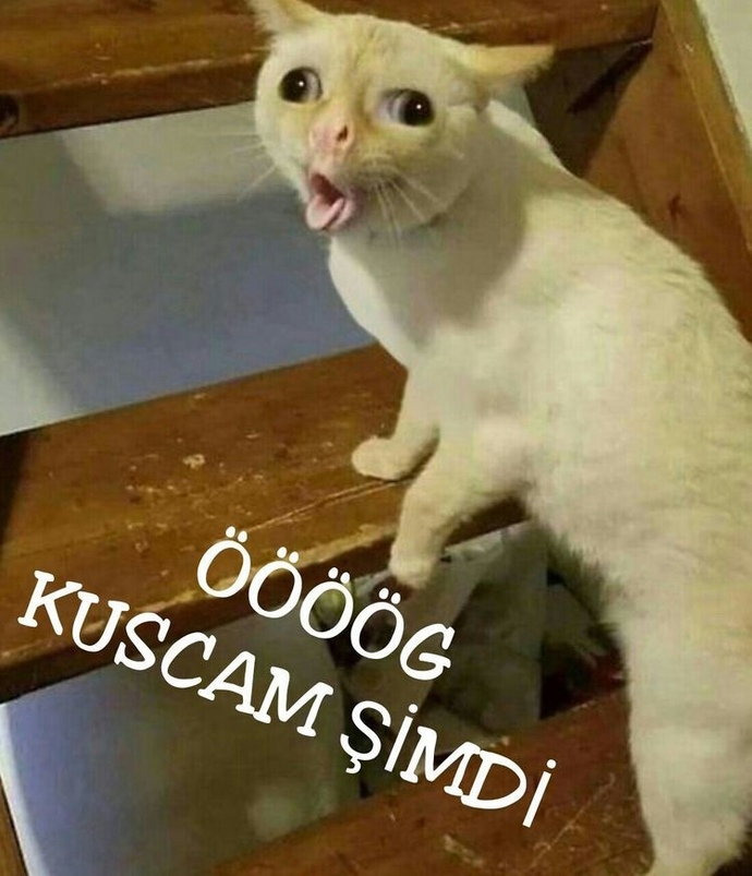 Galerinizdeki en gereksiz fotoğraf hangisi?