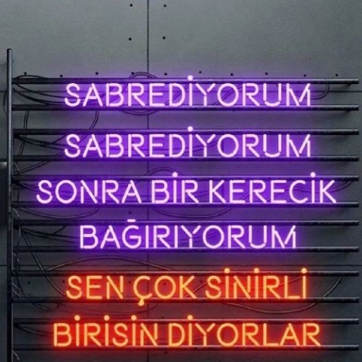 Sizce bunu hangi burç söylemiştir?