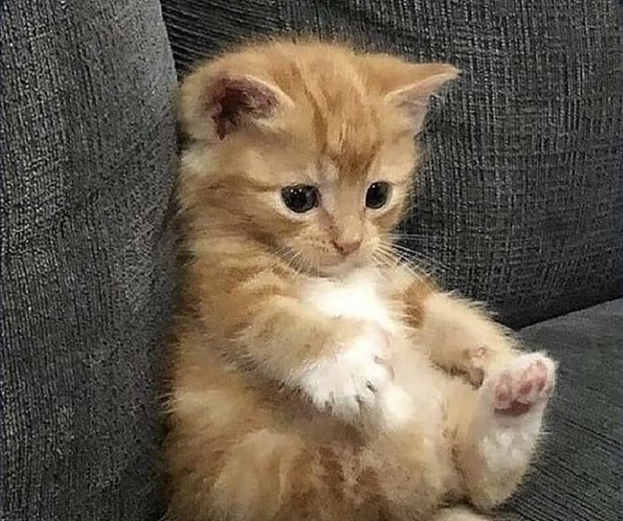 Anlık modunuz nedir KS’liler?