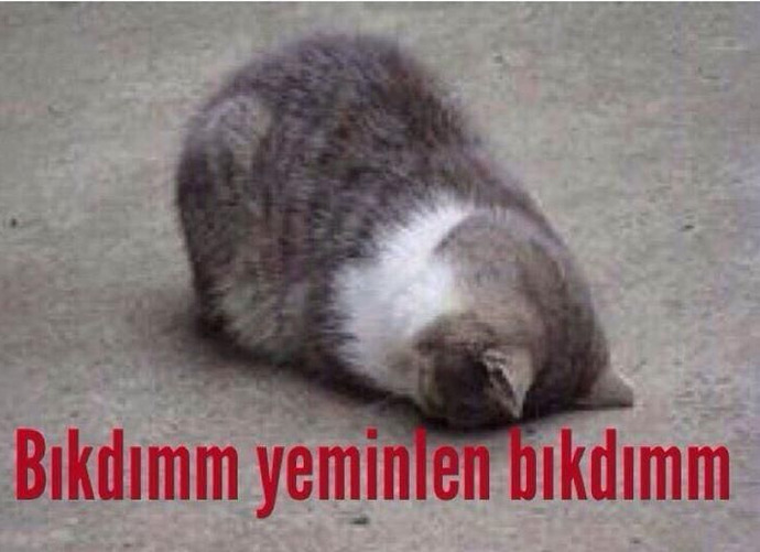 Anlık modunuz nedir KS’liler?