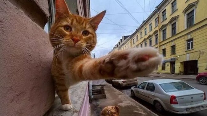 Hayatınızın en güzel geçtiği yaş aralığı ne?