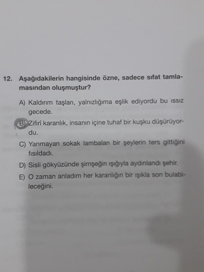 Cevap neden B şıkkı?