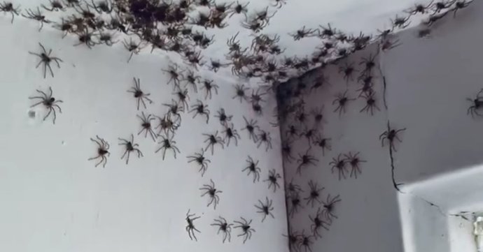 Odaya girdiğinizde böyle bir tablo ile karşılaşsanız öncelikle ne yaparsınız?