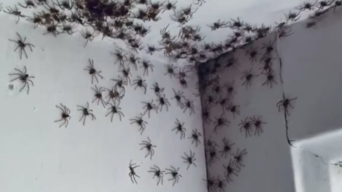Odaya girdiğinizde böyle bir tablo ile karşılaşsanız öncelikle ne yaparsınız?