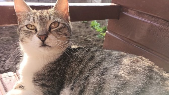 Torunlarımı bekliyorum, hediye olarak ne getireceksiniz?