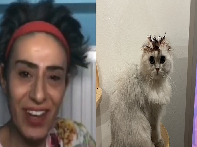 Yıldız Tilbe, kedisini boyadı! Sizce Yıldız Tilbenin kedisi elinden alınmalı mı?