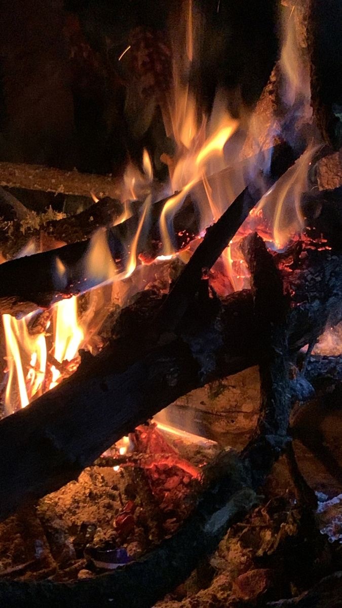 Akşam pikniği diyince ilk aklınıza gelen yemek nedir?