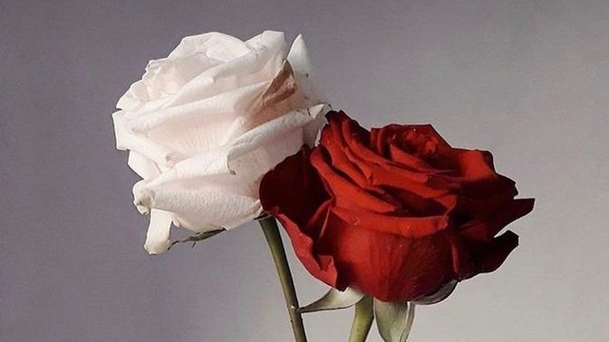 Cinselik yaşadığınız insandan siz de hoşlanmaya başlar mısınız?