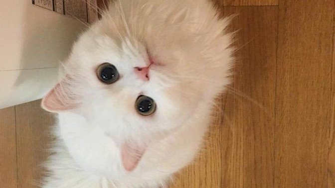 Uyku öncesi rutinleriniz var mı? Varsa neler?