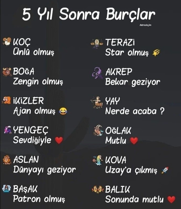 Burcuna göre 5 yıl sonra ne yapıyorsun?