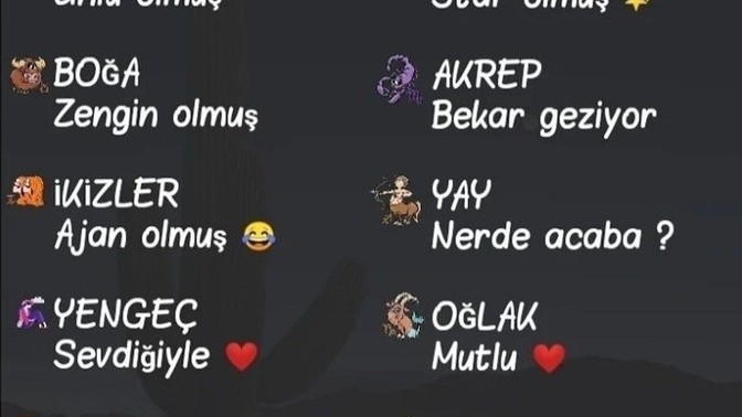 Burcuna göre 5 yıl sonra ne yapıyorsun?