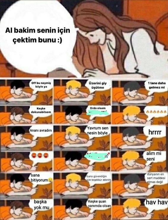 hav hav dkdkk
