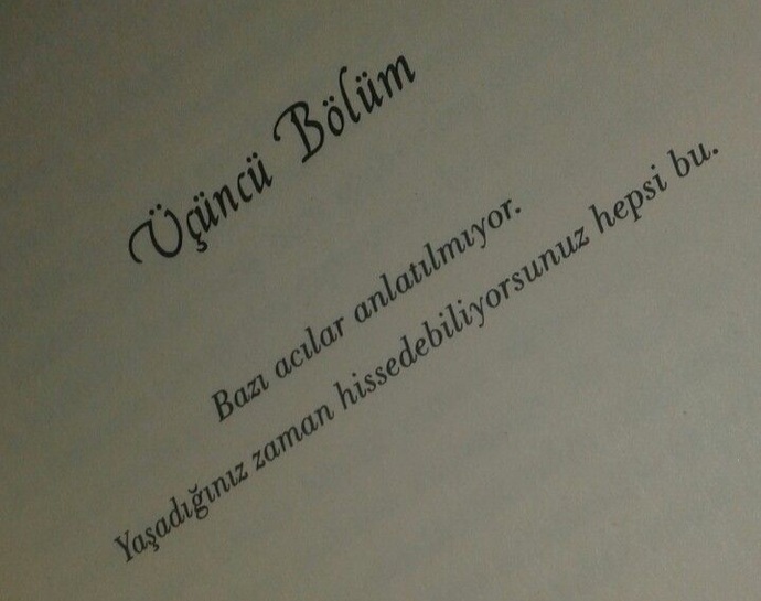 Bir kitap karakteri olsaydınız sizce hangisi olurdunuz?