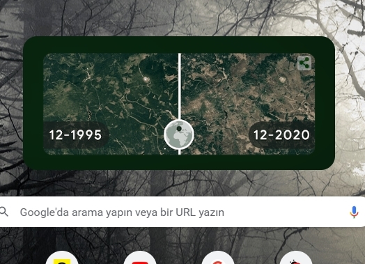 Googleın arama butonundaki iklim değişikliğini gösteren arka plan fotoğrafını nasıl buldunuz?