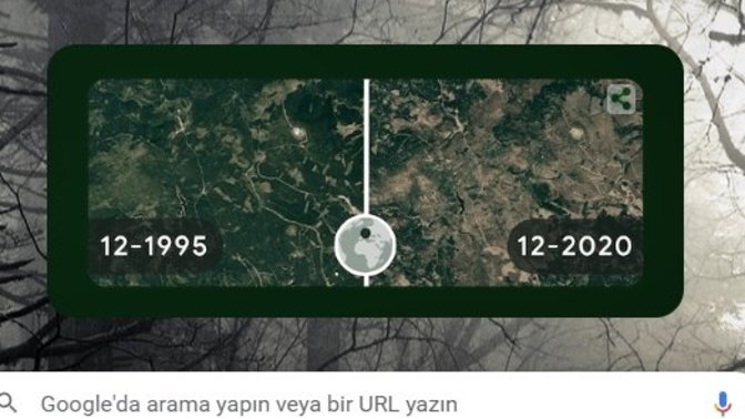 Google'ın arama butonundaki iklim değişikliğini gösteren arka plan fotoğrafını nasıl buldunuz?