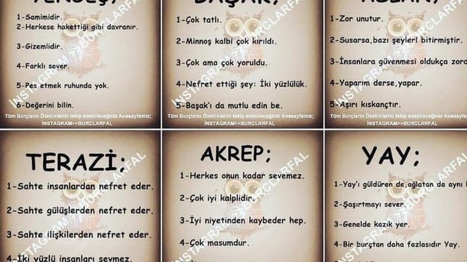 Burcunuz ne ve en iyi anlaştığınız burç hangisi?