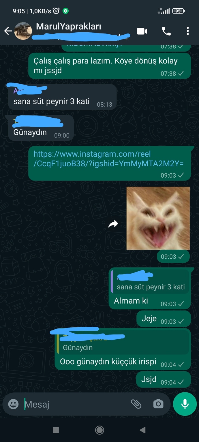 WhatsApp'tan gönderdiğiniz en son mesaj nedir?