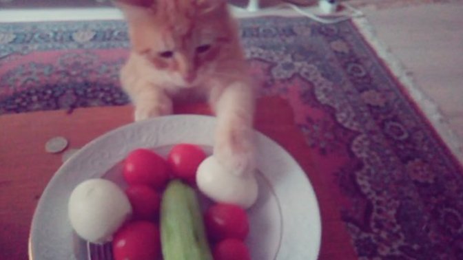 Yediğim her şeye ortak, nasıl önlerim?
