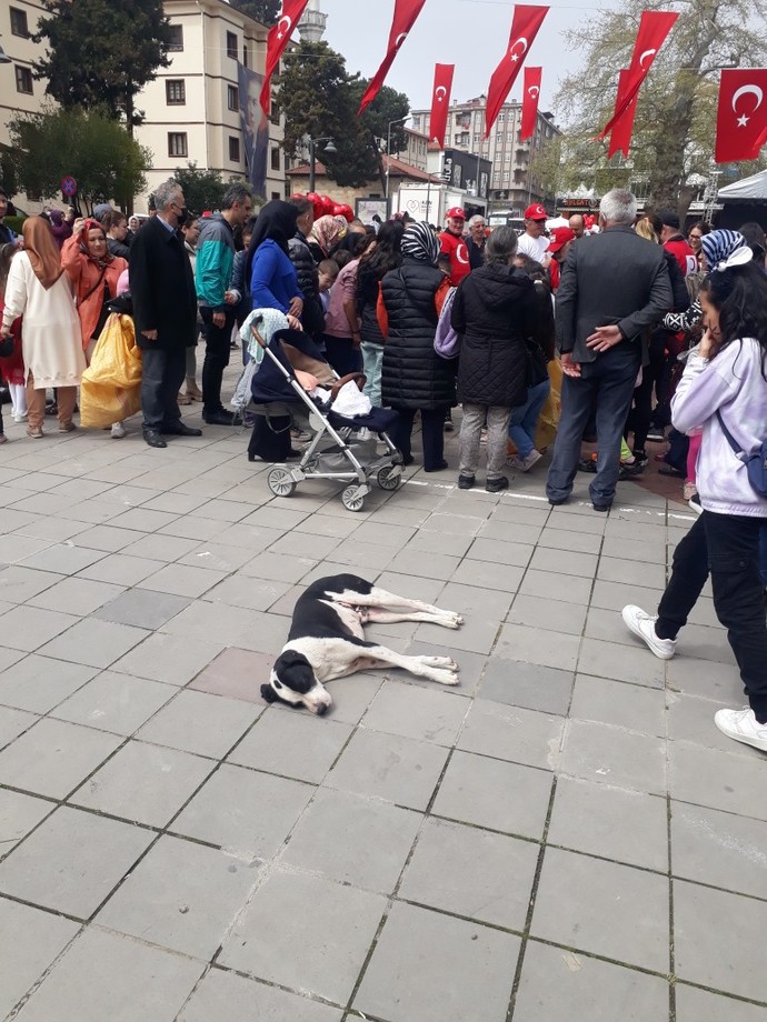 Umursamaz biri misin yoksa her şeyi kafana takar mısın?