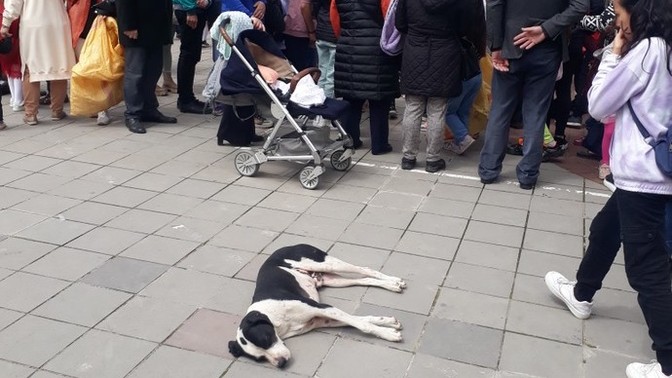 Umursamaz biri misin yoksa her şeyi kafana takar mısın?