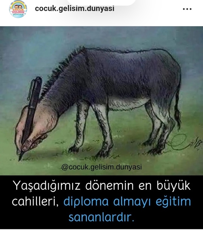 Eğitim ve öğretim arasındaki fark bu kadar güzel anlatılır ancak.