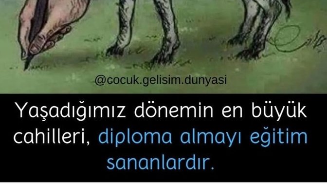 Eğitim ve öğretim arasındaki farkı biliyor musunuz?