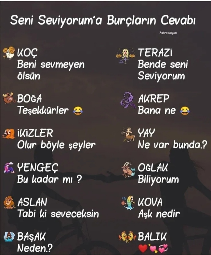 Seni seviyoruma burcunun cevabı ney😉?