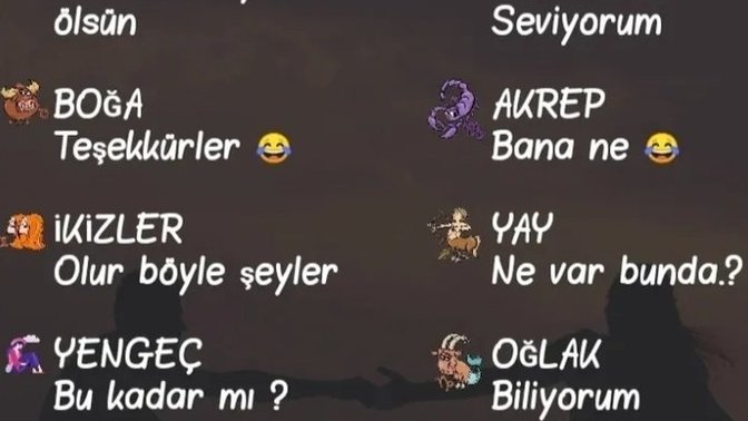 Seni seviyorum'a burcunun cevabı ney😉?