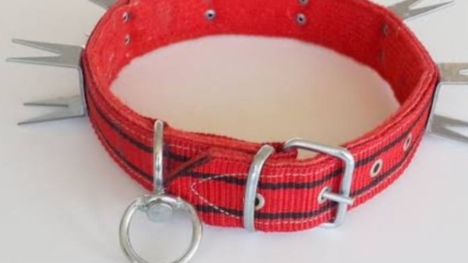 Çoban köpek tasmaları arasındaki fark?