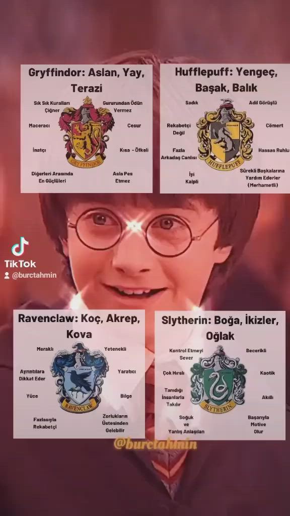 Burcuna göre Hogwartsın hangi binasındasın?
