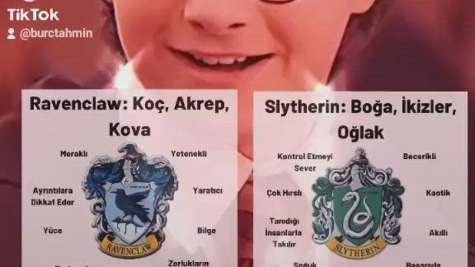 Burcuna göre Hogwarts'ın hangi binasındasın?