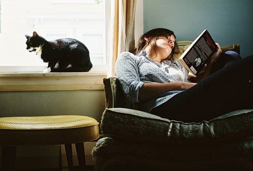 🐾📖