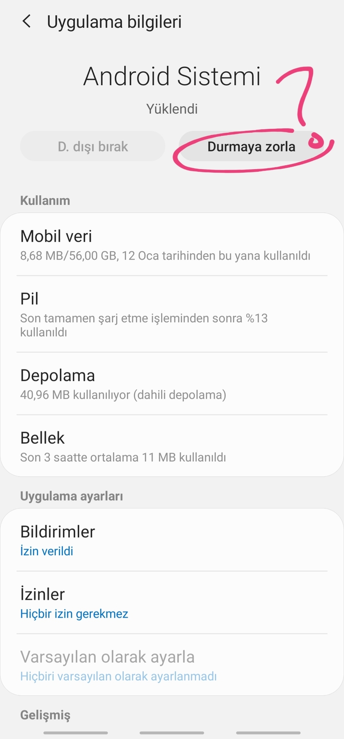 Telefon uygulama yazılım anlayan yardım edebilir mi?