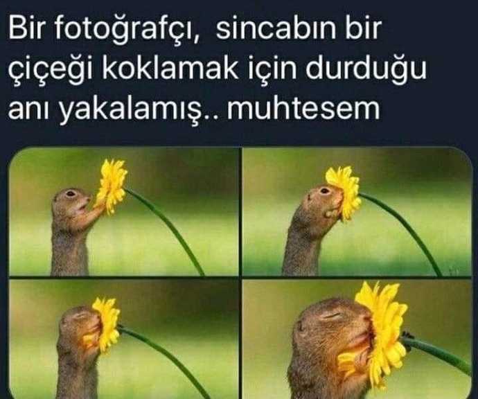 En çok hangi durumlarda Ss alıyorsunuz?