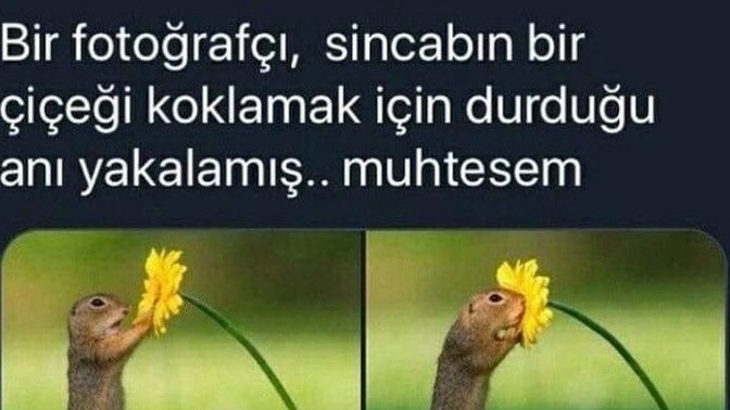 En çok hangi durumlarda Ss alıyorsunuz?