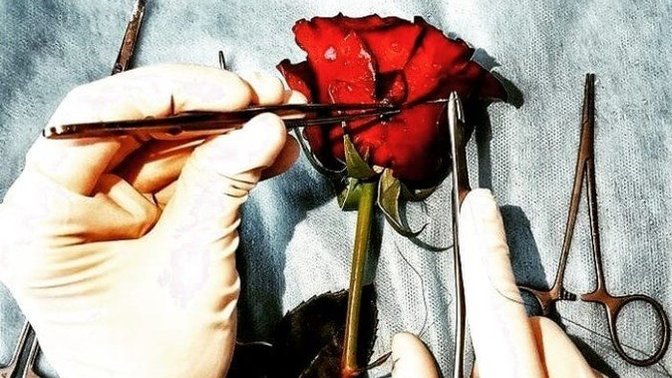 Sizin derdinizin çaresi var mı?