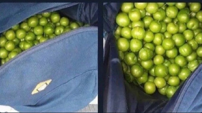 Sevgiliniz buluşmaya bir çanta dolu erikle gelse ne yapardınız?