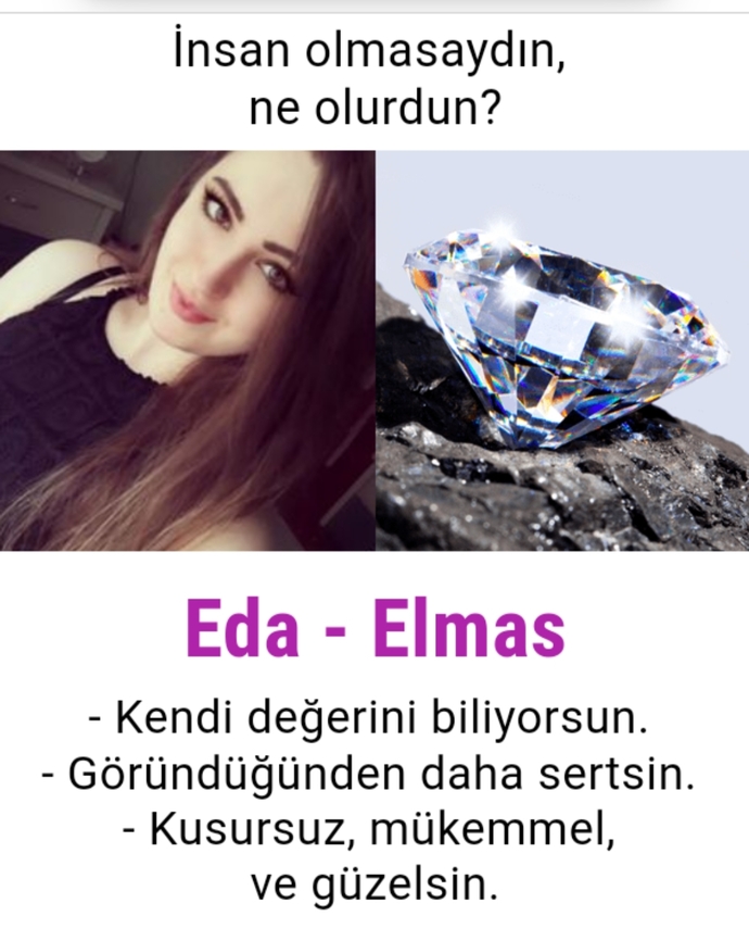 İnsan olmasaydın ne olurdun?