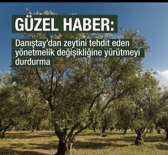 Hükümet aslında toplumdan çekiniyor mu?