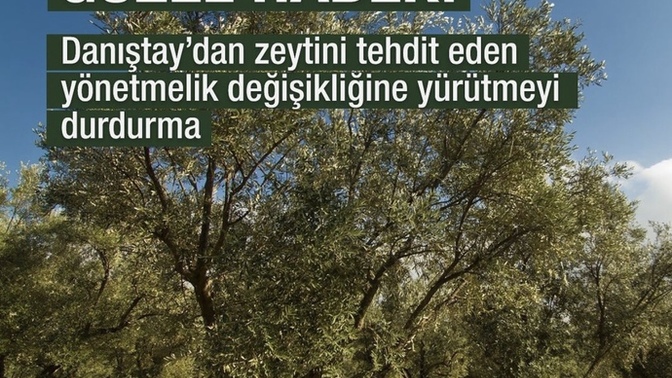 Hükümet aslında toplumdan çekiniyor mu?