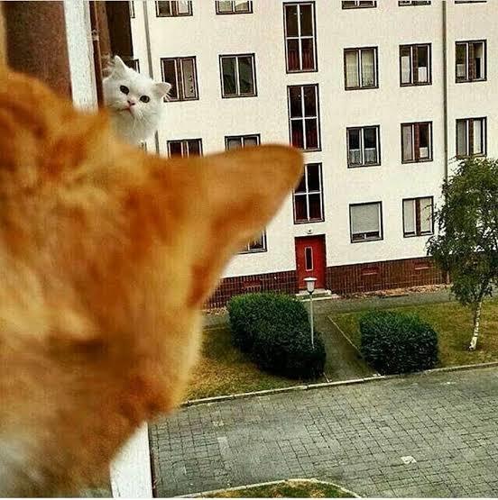 Önünde sevmek için bir engelin var mı?