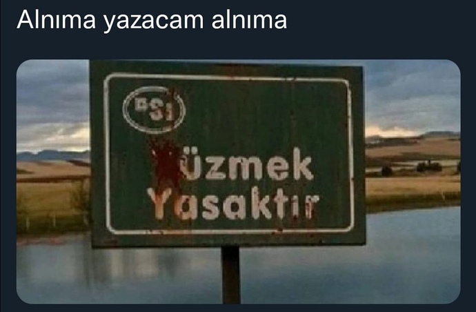 Alnınızda bir şey yazacak olsa ne olurdu?