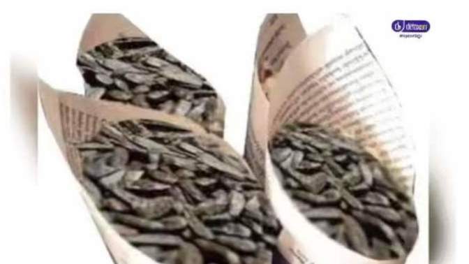 Siz hiç külahta çekirdek yediniz mi?