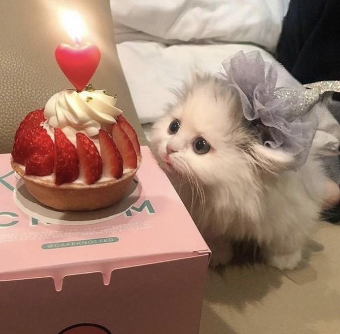 🍓