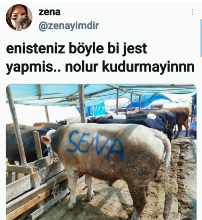 Neden en hisli insanlar umursamaz olanlardan çıkıyor ya da sizce de öyle mi?