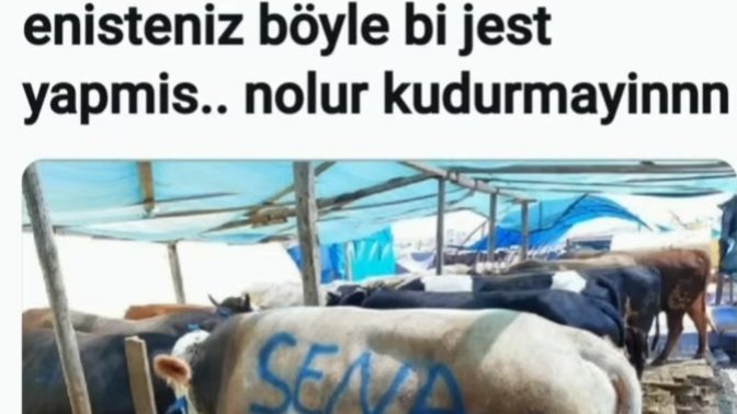 Neden en hisli insanlar umursamaz olanlardan çıkıyor ya da sizce de öyle mi?
