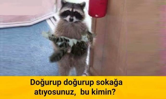 Burç uyuşmazlığı yaşadığınız bir ilişkiyi tartışmalar olmasına rağmen sürdürür müydünüz?