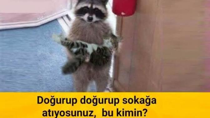 Burç uyuşmazlığı yaşadığınız bir ilişkiyi tartışmalar olmasına rağmen sürdürür müydünüz?