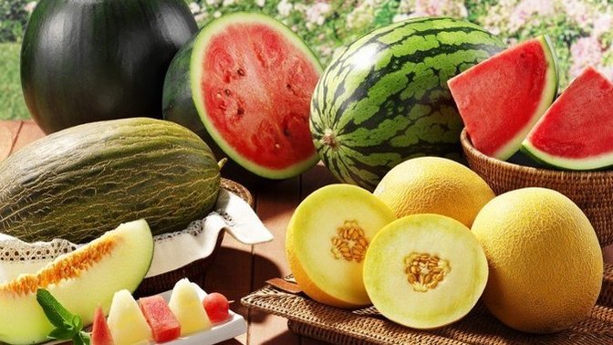 Yaz geliyor o zaman en önemli ayrımda yaklaşıyor. Kavun mu Karpuz mu?