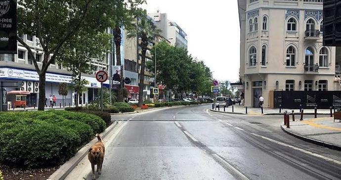 Bi sabah uyandınız ki... Ne yapardınız?